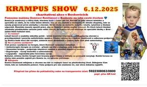 charitativní akce pro Dominika