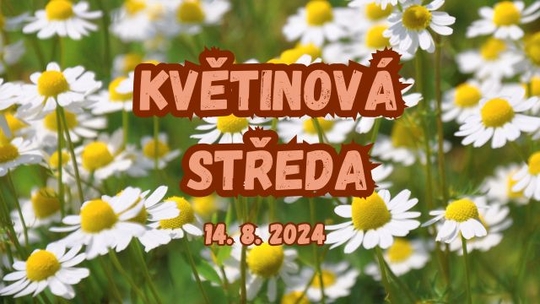 Květinová středa v muzeu