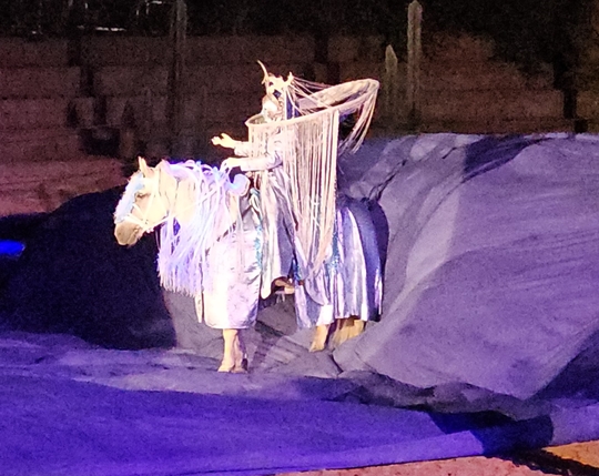 Kůň pátý element