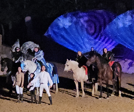 Kůň pátý element