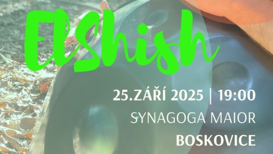 Koncert v synagoze maior: Ladislav Šiška (ElShish)